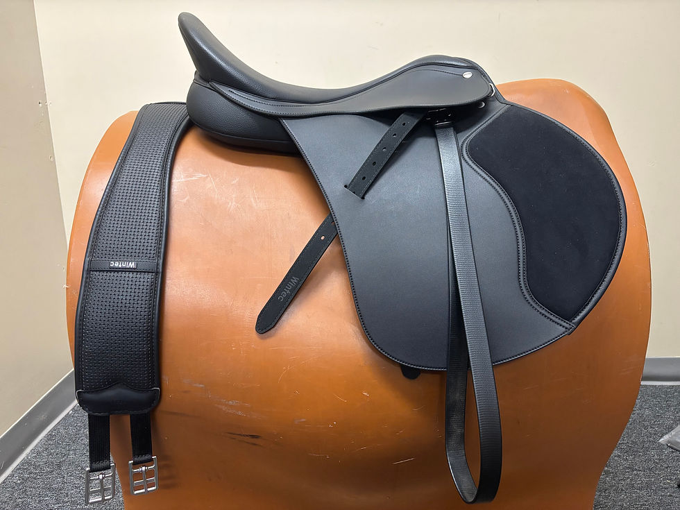 Thumbnail: Wintec 250 GP Saddle 18" Black with Free Wintec Girth and Wintec Leathers