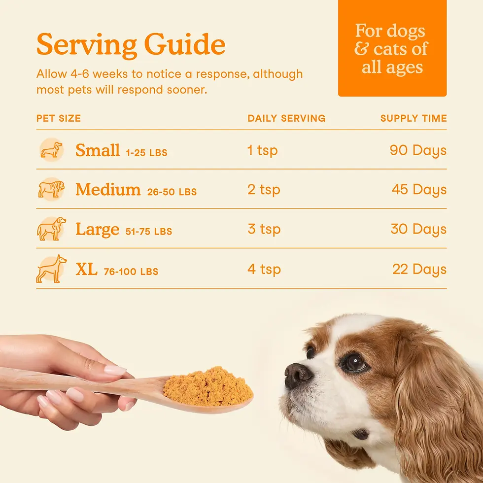 Thumbnail: Fera Pets Pumpkin Plus