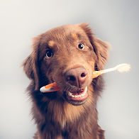 AdobeStock_304523378.jpeg