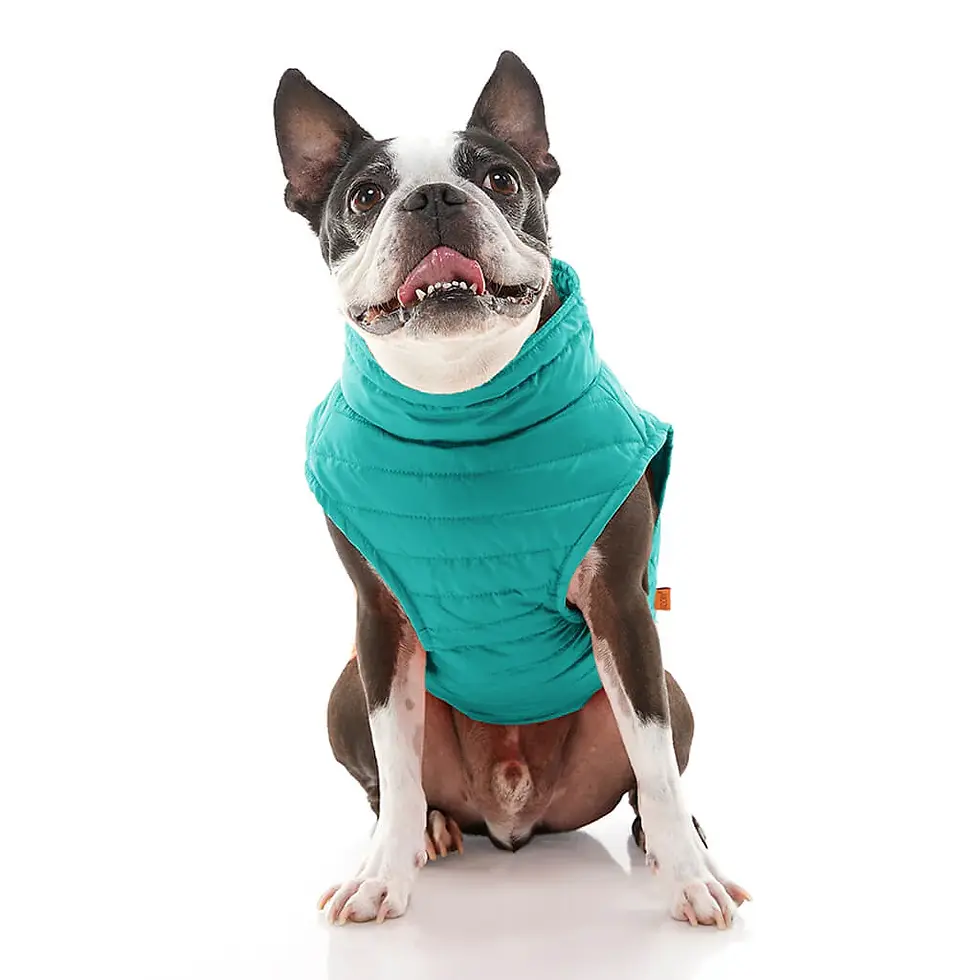 Thumbnail: Gooby Pet Puffer Vest for dogs, featuring a colorful and insulated design, available at CHOW Bella Pet Health Store.