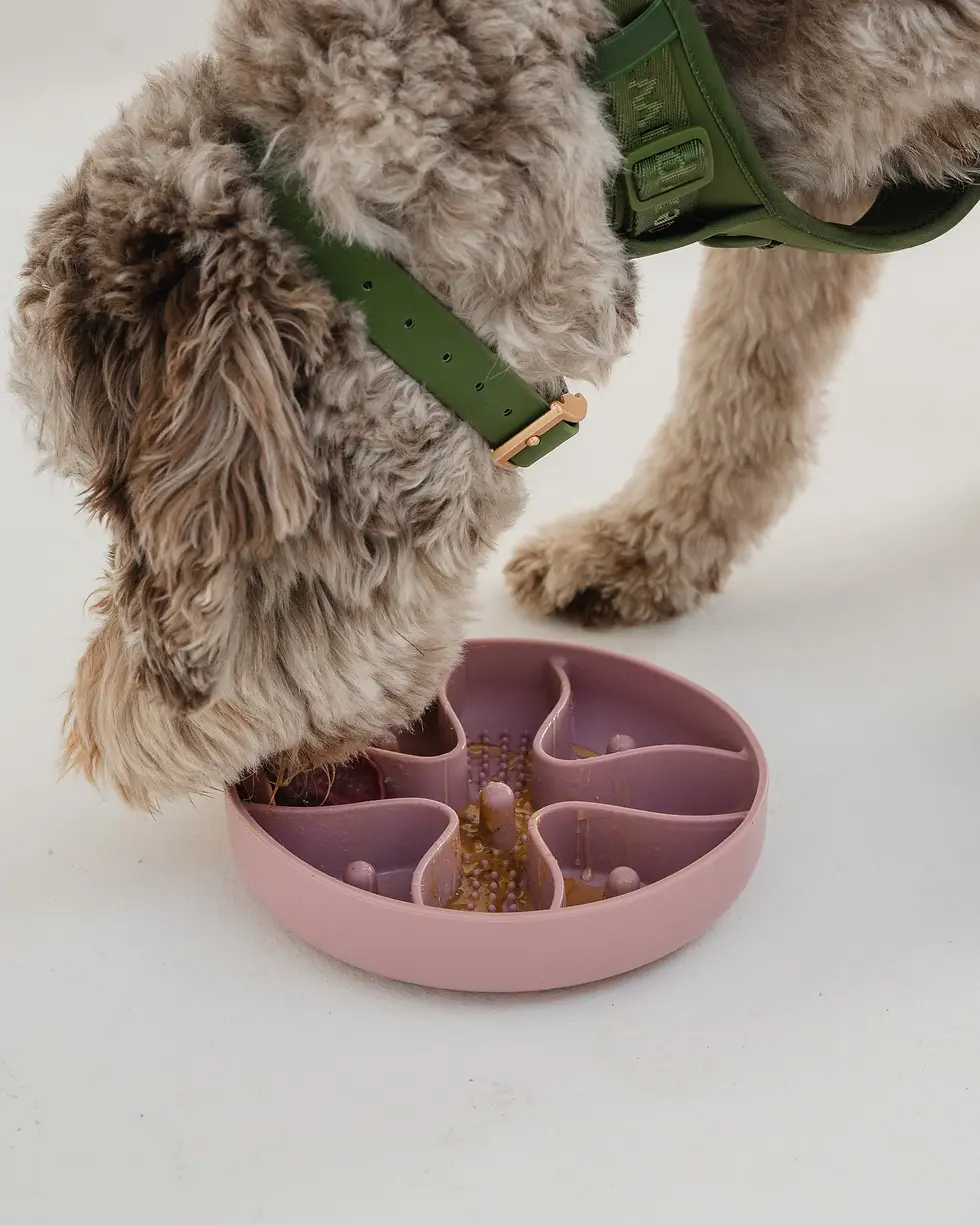 Thumbnail: Dexypaws Hide & Seek Slow Feeder - Blush