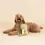 Thumbnail: Eco-friendly dog Dino toy - cuddly and fun play toy for dogs