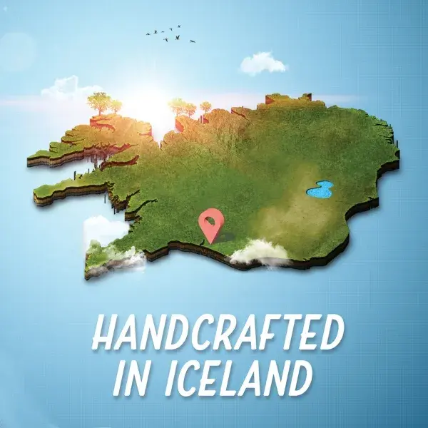 Thumbnail: Icelandic Large Lamb Horn