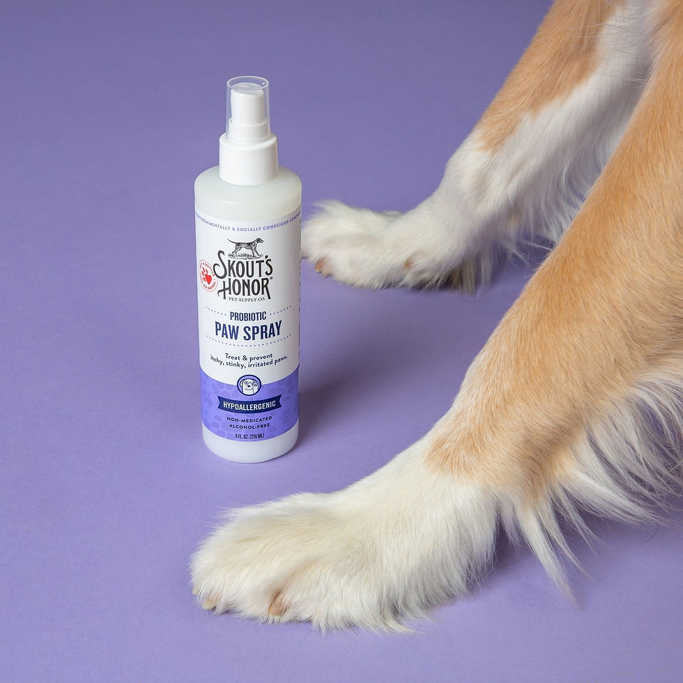 Thumbnail: This Probiotic Paw Spray supports healthy skin and relieves itchy, stinky and irritated paws.
