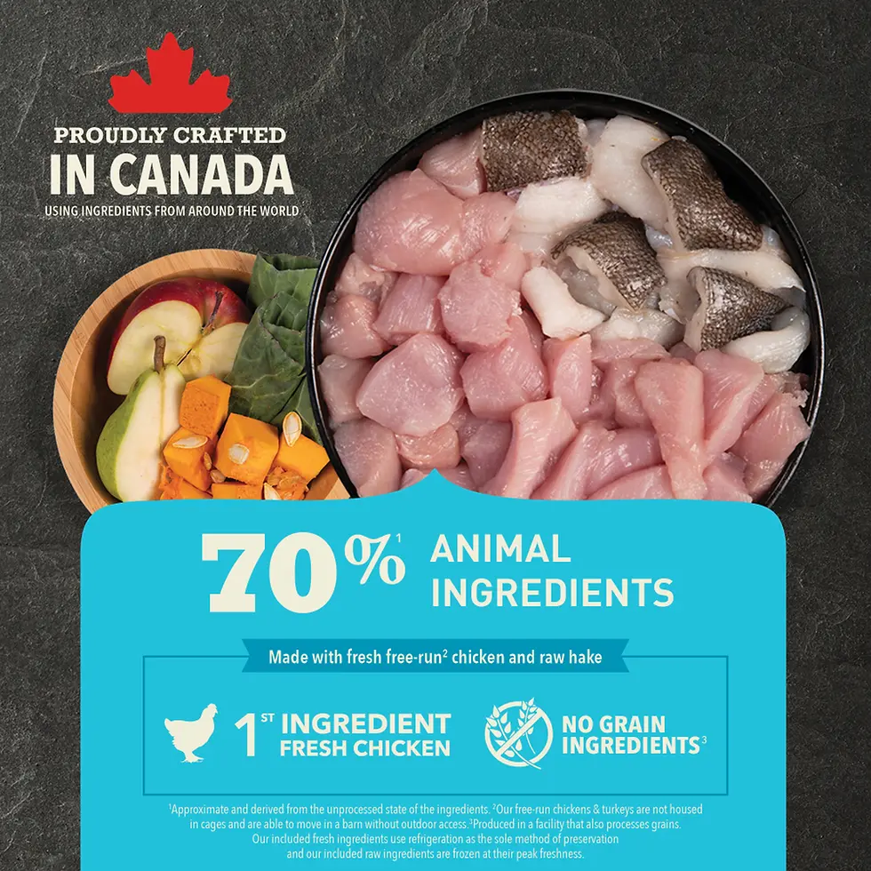 Thumbnail: ACANA Small Breed Puppy Recipe with fresh free-run chicken, raw hake, and nutrient-rich fruits and vegetables