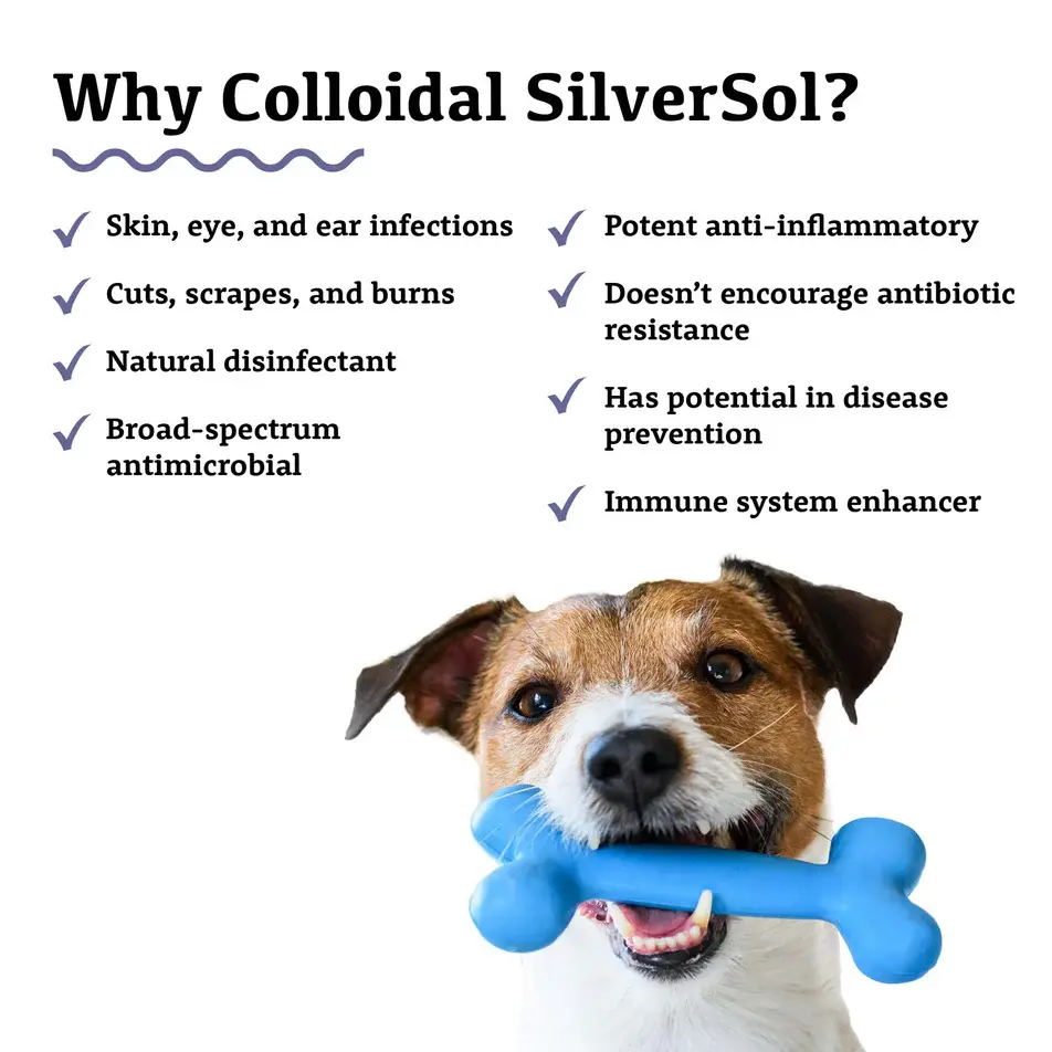 Thumbnail: Adored Beast Colloidal Silver bottle with silver label, showcasing its natural health benefits for pets.