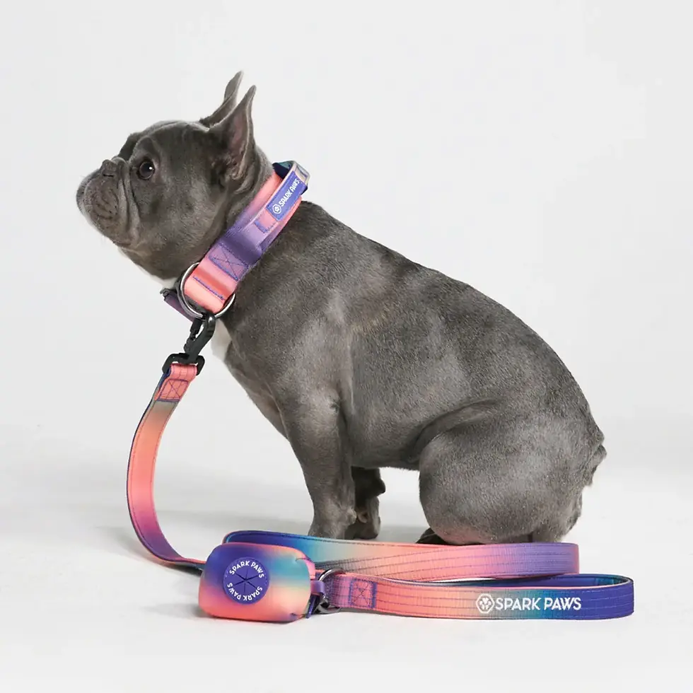 Thumbnail: Spark Paws Poop Bag Holder - Kaleidoscope