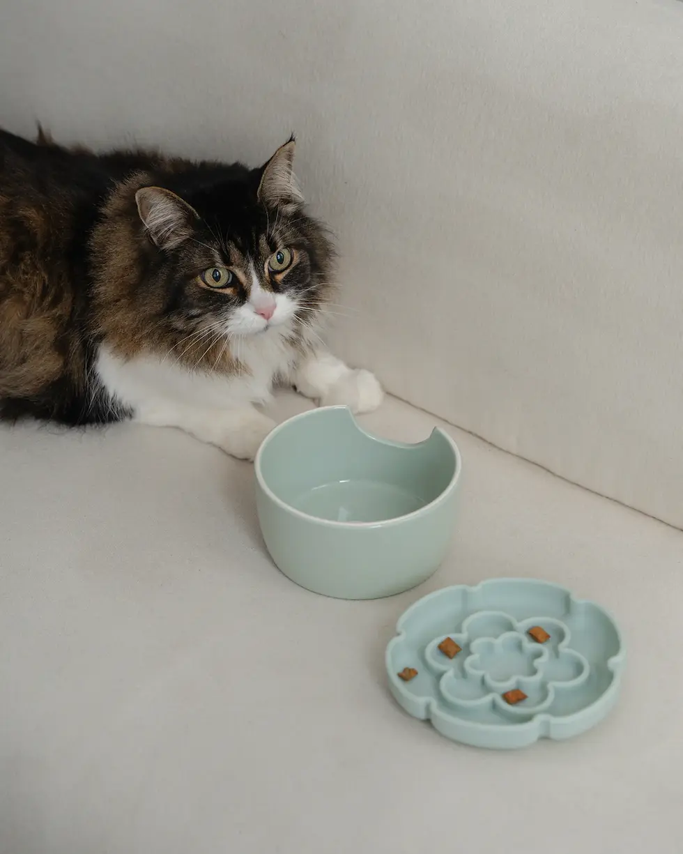 Thumbnail: Dexypaws Cat Flower Elevated Slow Feeder - Sage Green