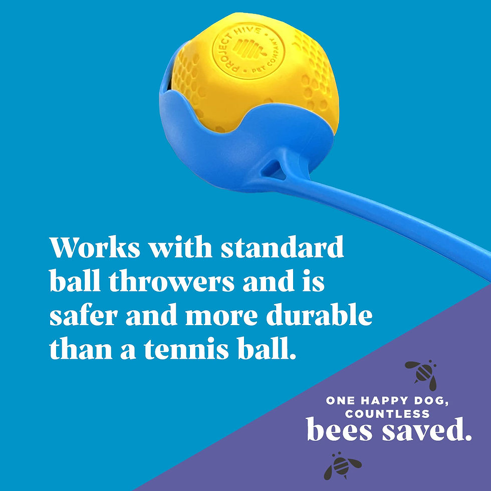 Thumbnail: Durable dog toy that floats for fun all day long