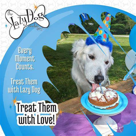 Thumbnail: The Lazy Dog Cookie Co. Pup-PIE - Happy Birthday Boy