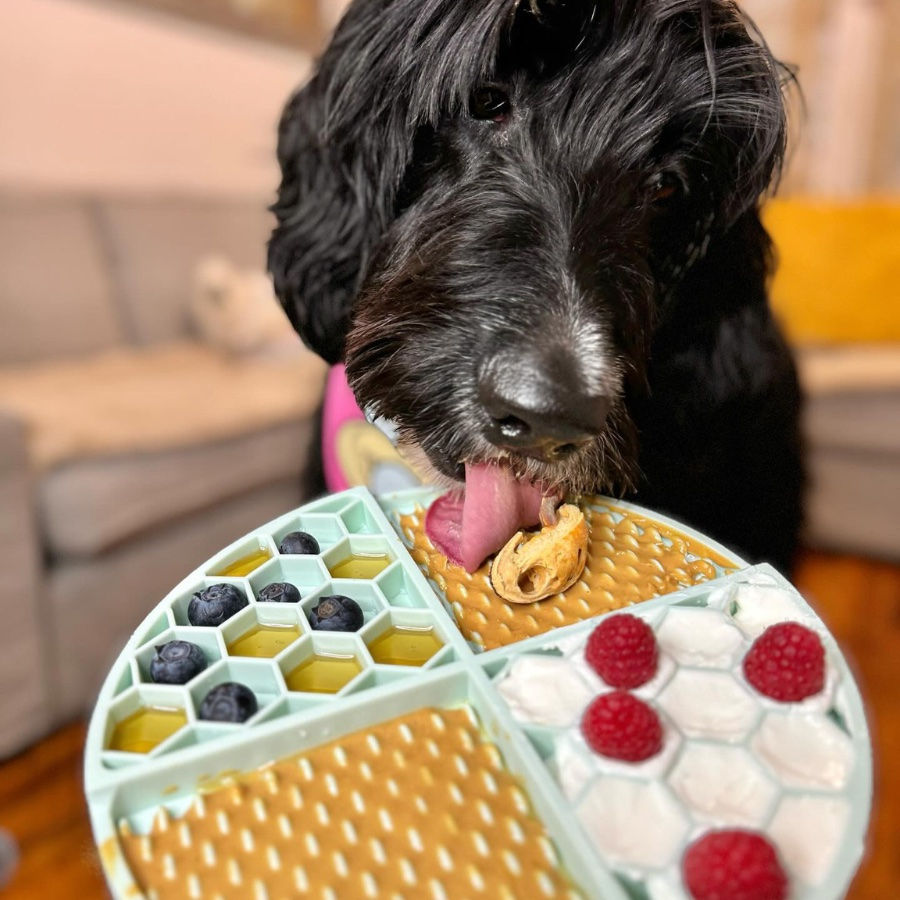 Thumbnail: Bark Bistro Buddy Budder - Sweetheart Snack