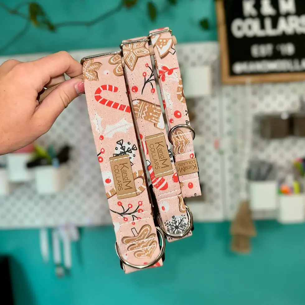 Handcrafted K&M Dog Collar in vibrant colors, perfect for comfort and durability, shown on a stylish dog.