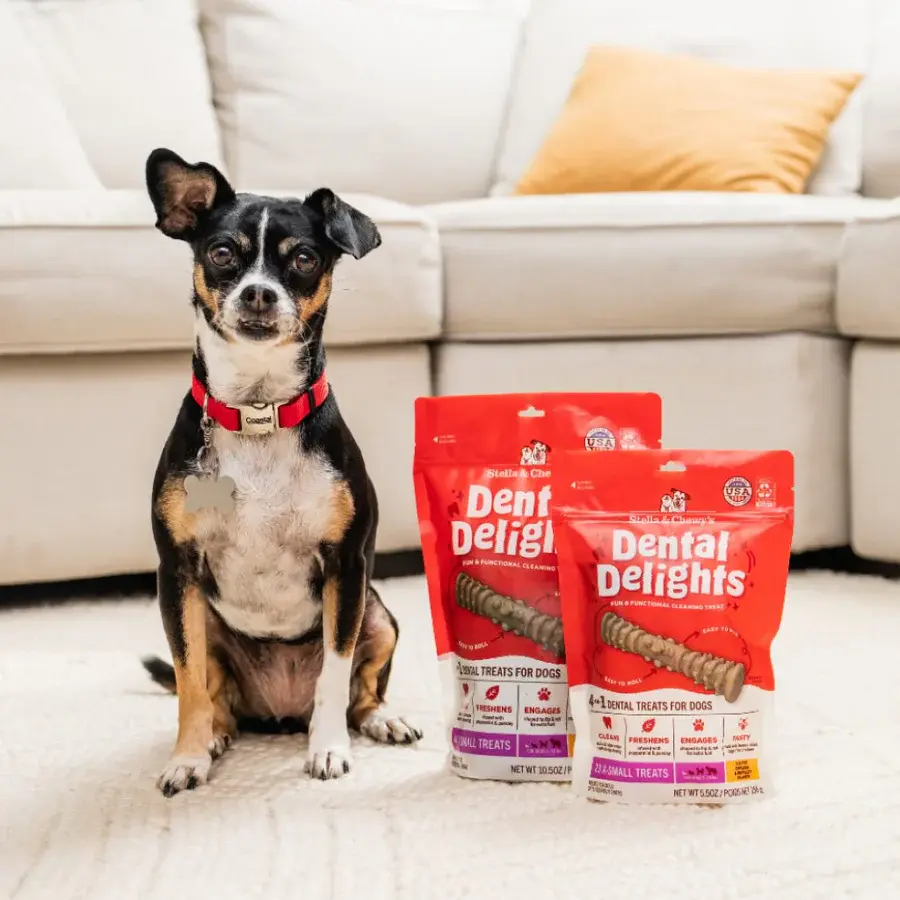 Thumbnail: Stella & Chewy's Dental Delights 4 in 1 Dental Treats for Dogs