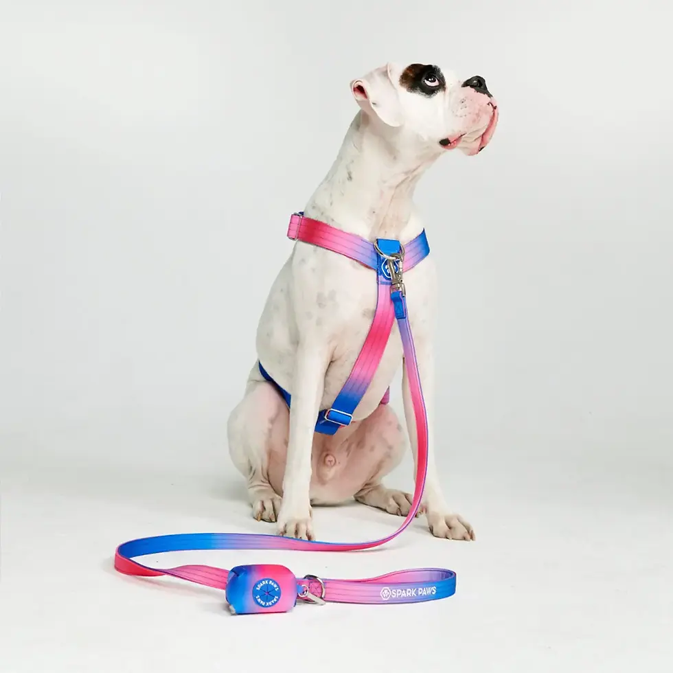 Thumbnail: Spark Paws Comfort Control No Pull Dog Harness - Snow Cone