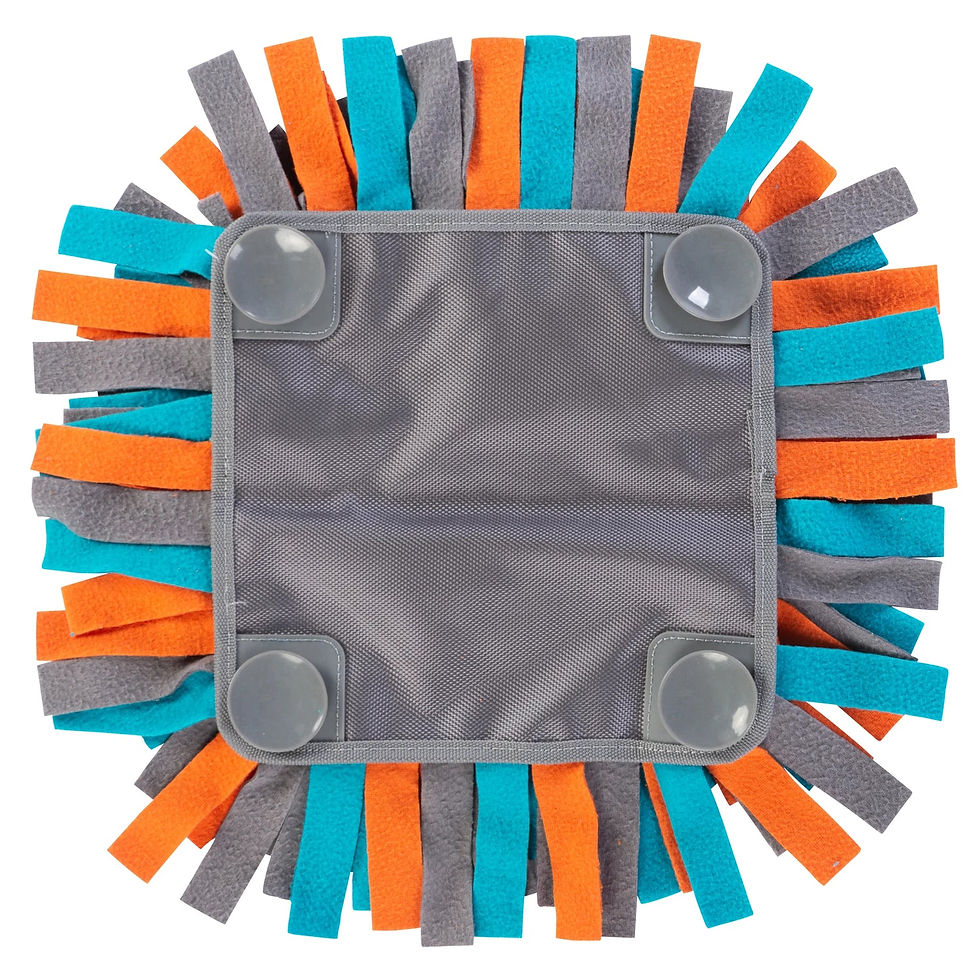 Thumbnail: Image: Messy Mutts Snuffle and Forage Mat, designed to engage dogs' natural foraging instincts, great for boredom