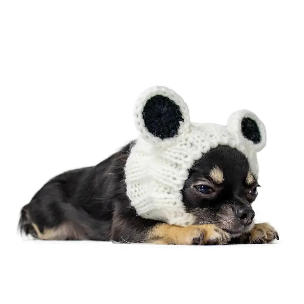 Thumbnail: Zoo Snoods for pets – handmade knit snoods to keep your pet's ears and neck warm and cozy.