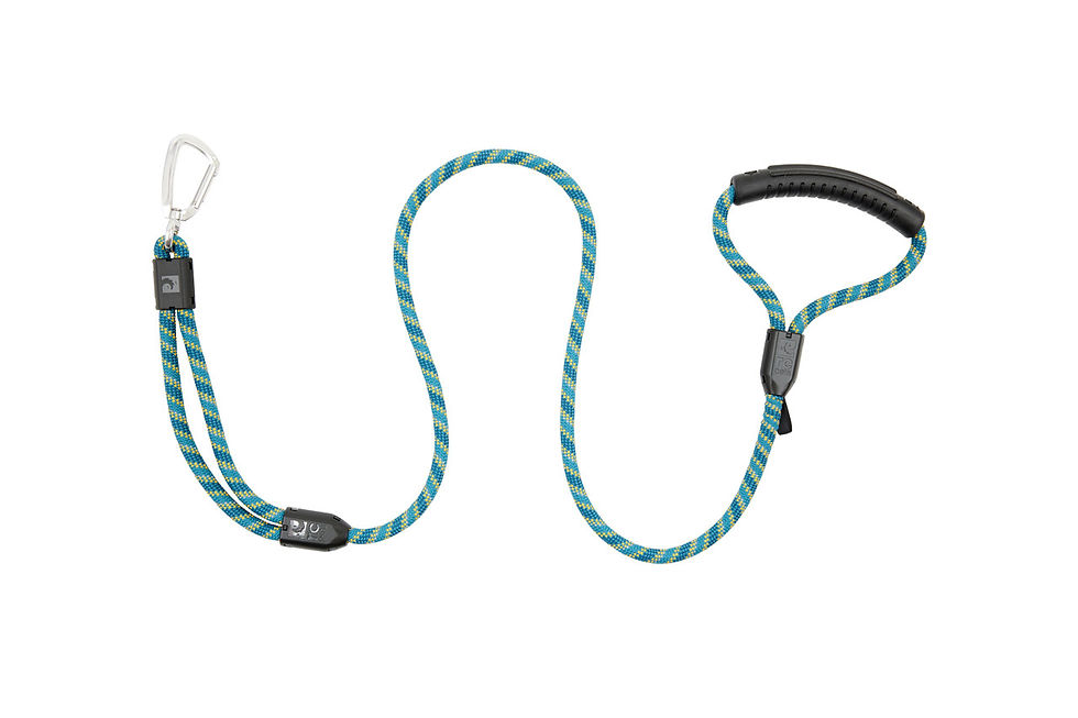Thumbnail: RC Pets Premium Rope Leash - durable and stylish leash with a sturdy metal clasp, available at CHOW Bella Pet Health Store.