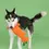 Thumbnail: Fringe Pet 'Carrot 'Bout You' Dog Toy