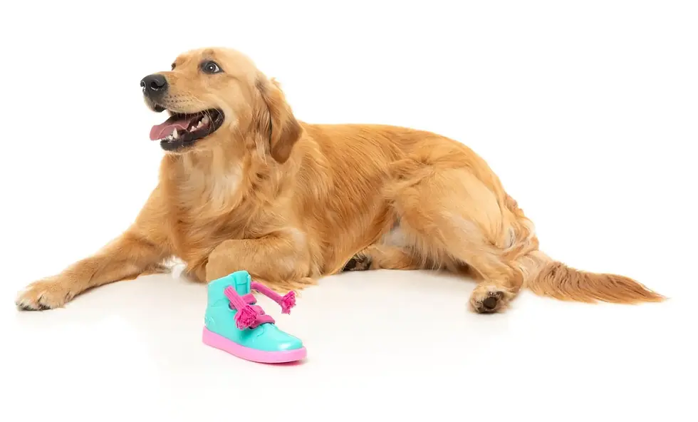 Thumbnail: Fuzzyard Fresh Kicks n'Licks - Interactive Chew Toy