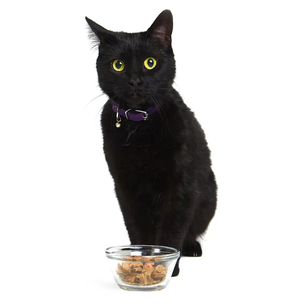 Thumbnail: Sumptuous freeze-dried pork cat treats from Smack, crafted to delight your feline companion's senses
