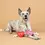 Thumbnail: Fringe Love Bug Collection Can’t Be Ap-Heart tug toy for dogs, heart-shaped with durable rope for interactive play.