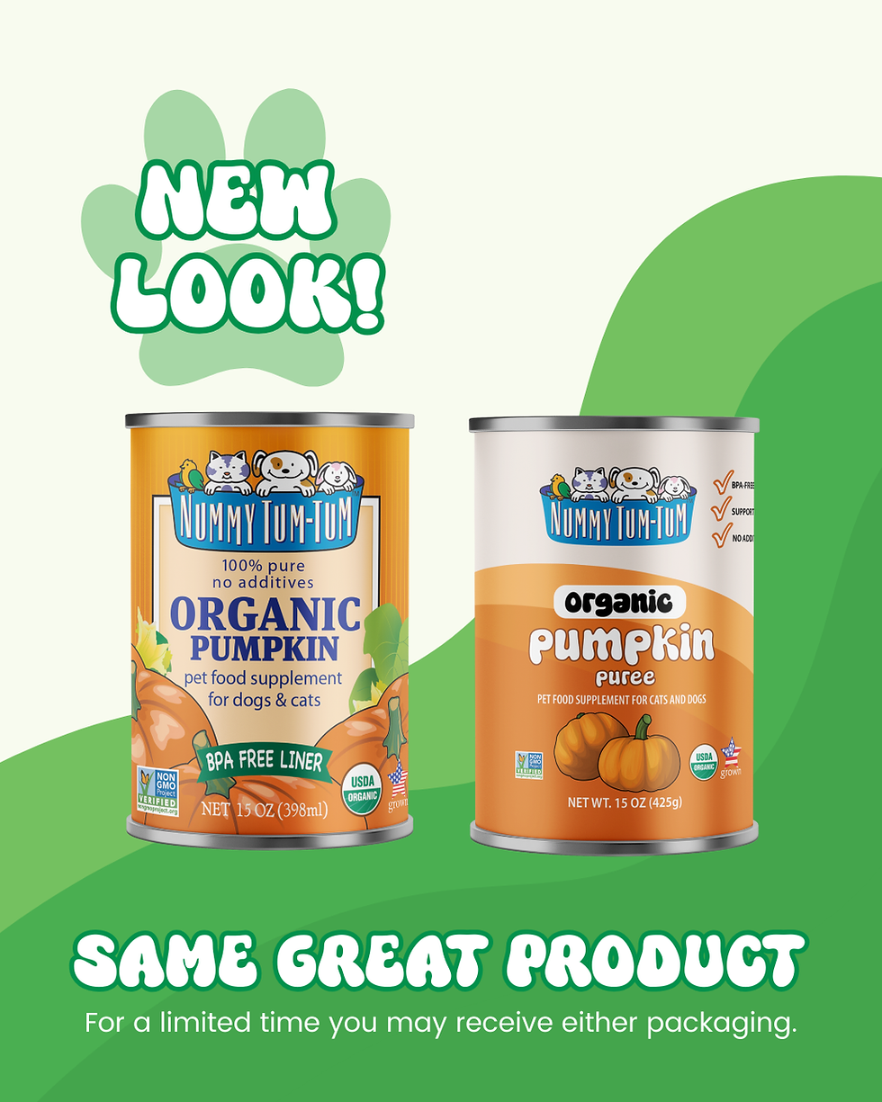 Thumbnail: Nummy Tum Tum Organic Pumpkin