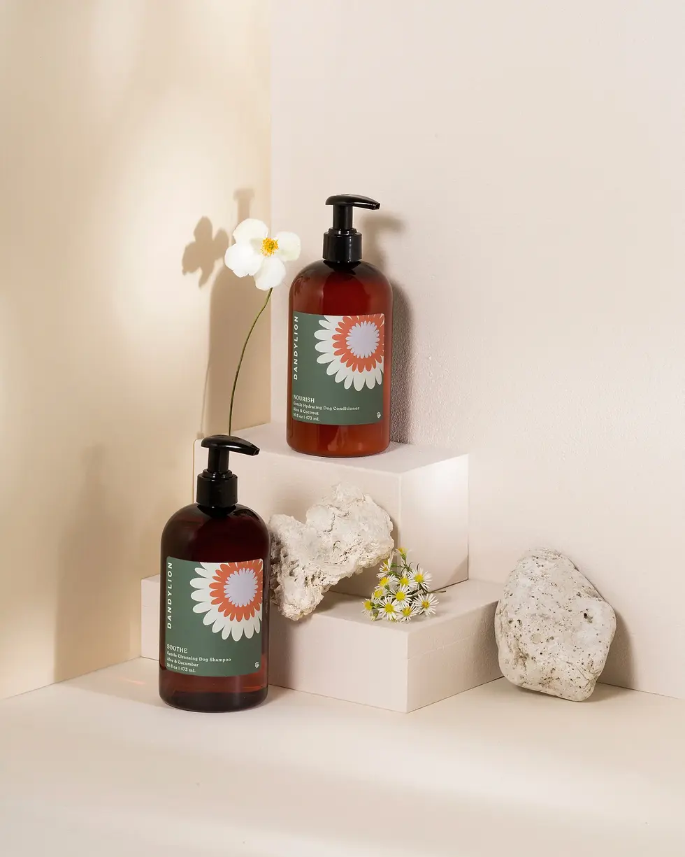 Thumbnail: Dandylion Gentle Cleansing Dog Shampoo, formulated for a soft and healthy coat, available at CHOW Bella Pet Health Store.