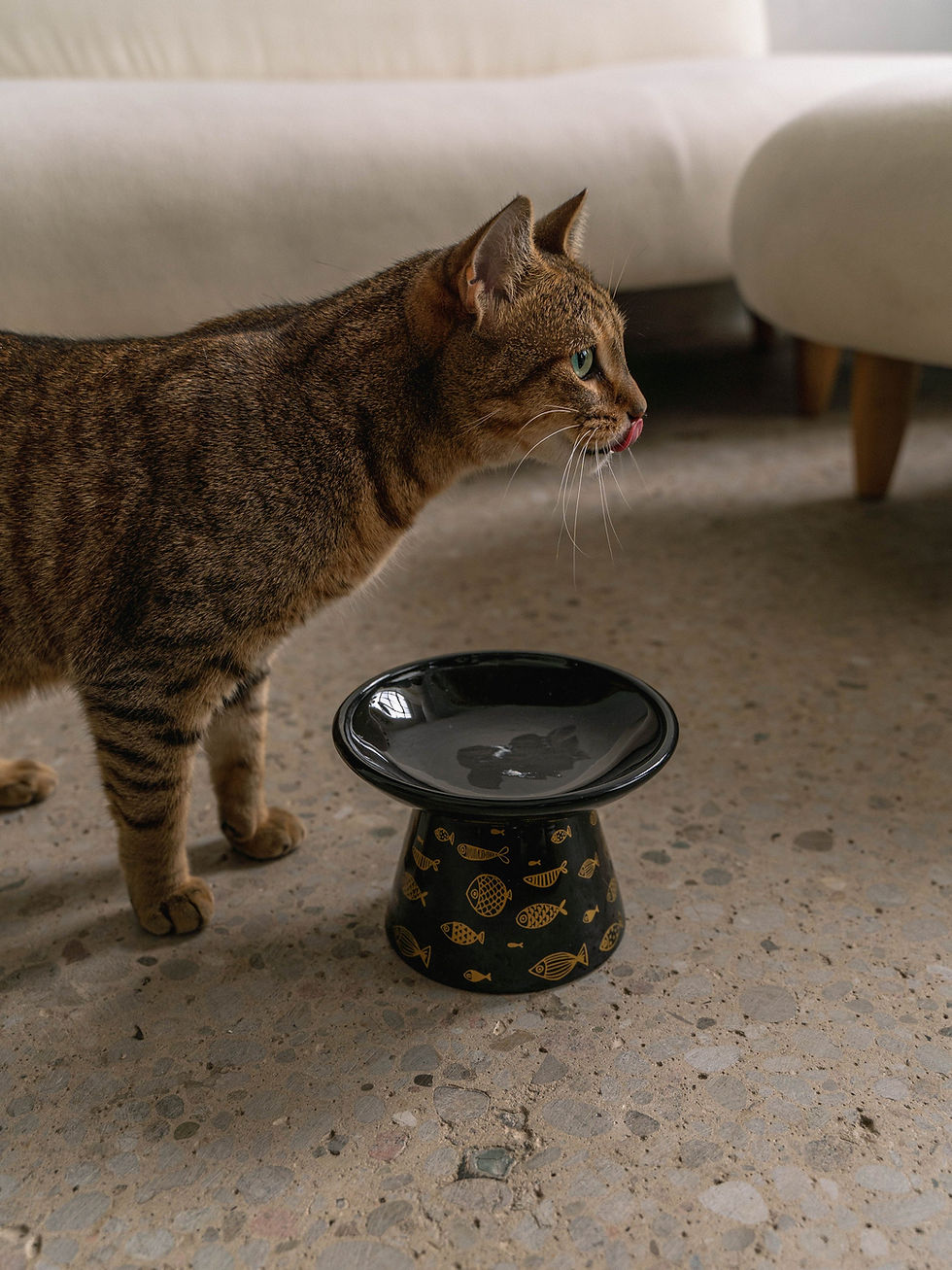 Thumbnail: Dexypaws Flat Top Ceramic Cat Bowl - Black With Fish Print