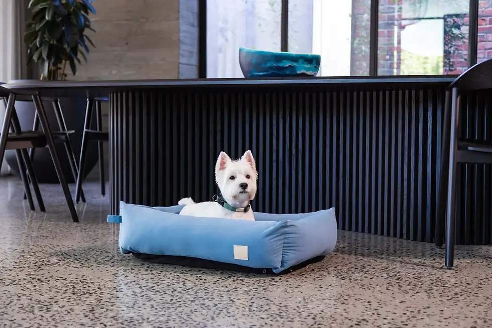 Thumbnail: FuzzYard Cotton Bed, soft and stylish pet bed made with premium cotton for maximum comfort and support.