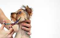 AdobeStock_346540812.jpeg