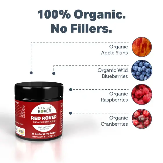 Red Rover dog superfood blend with organic apples, berries, and astaxanthin for vibrant health and aging support.