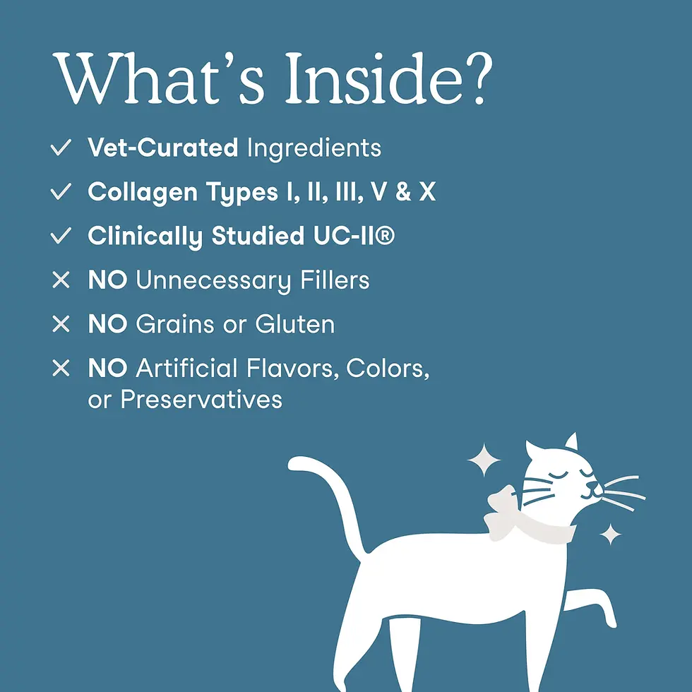 Thumbnail: Fera Pets Collagen Plus for Dogs & Cats