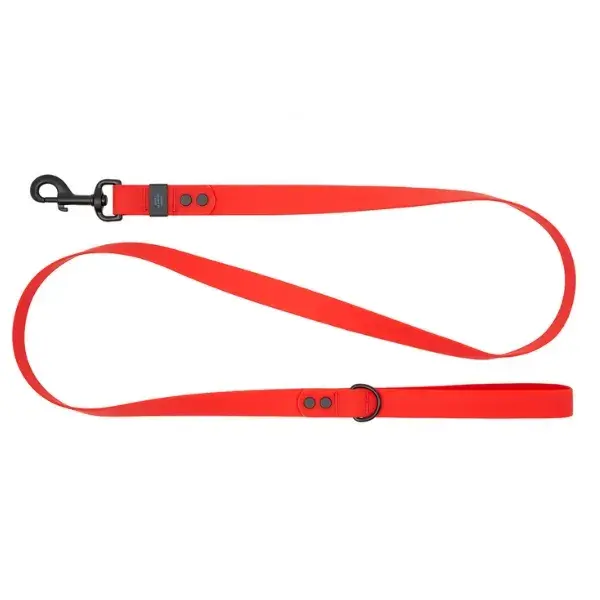 RC Pets Waterproof Leash: Dependable durability for all-weather walks with your pet.