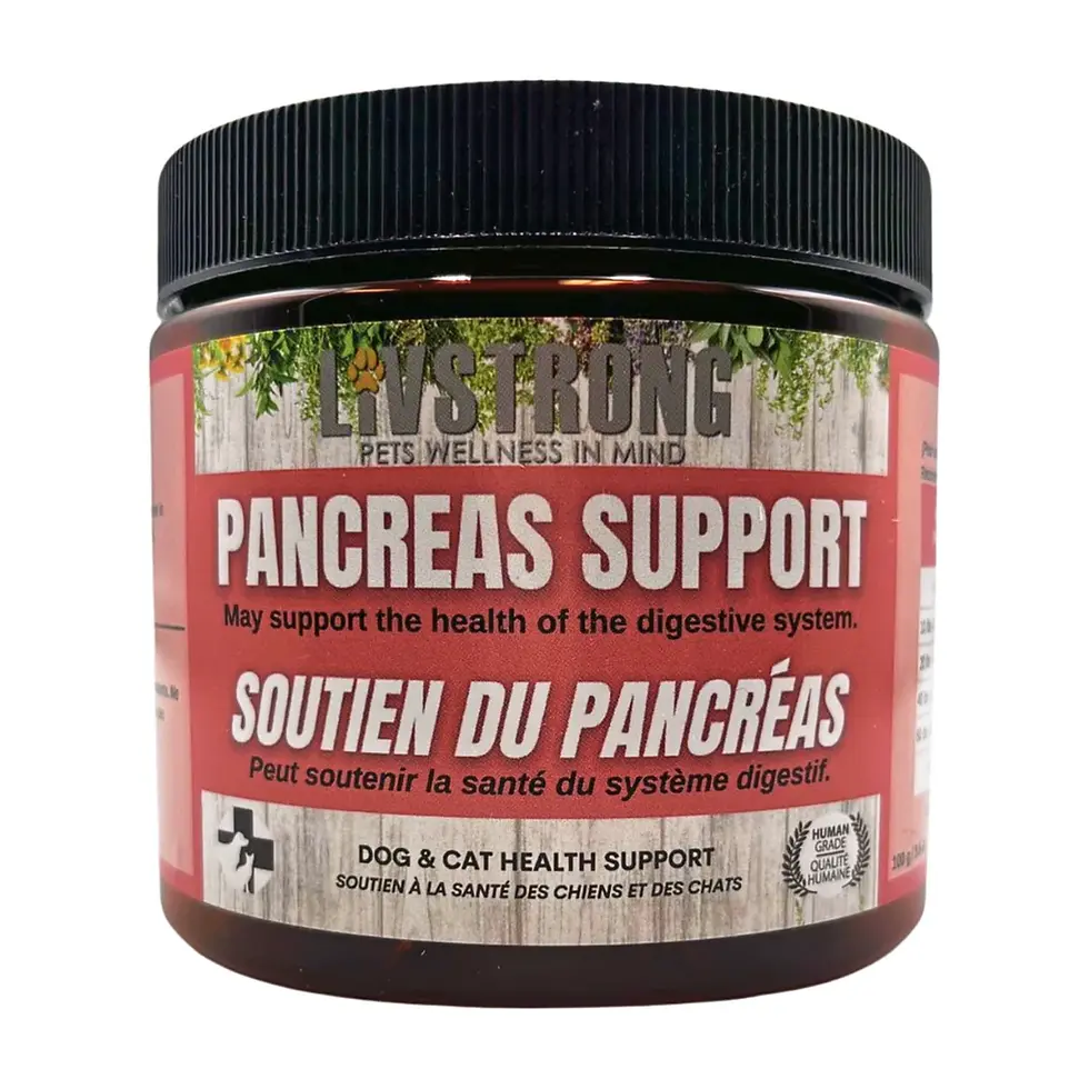 LivStrong Pancreas Support Supplement for Pets, a natural blend formulated to promote pancreatic function and digestive welln