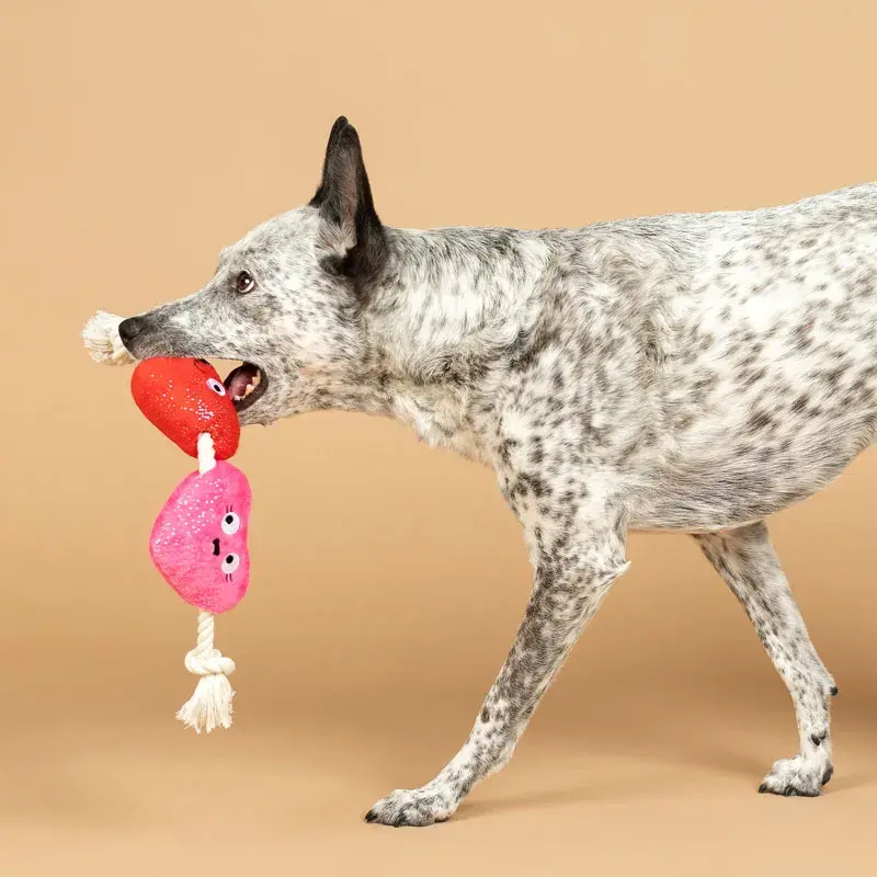Thumbnail: Fringe Love Bug Collection Can’t Be Ap-Heart tug toy for dogs, heart-shaped with durable rope for interactive play.