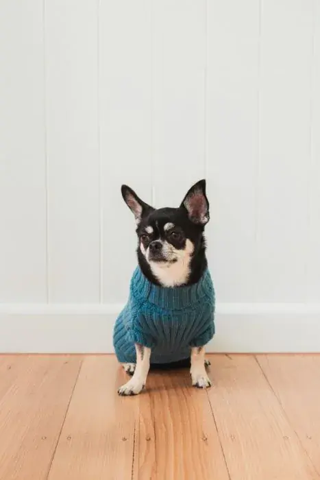 Thumbnail: Fuzzyard Life Knitted Sweater - French Blue