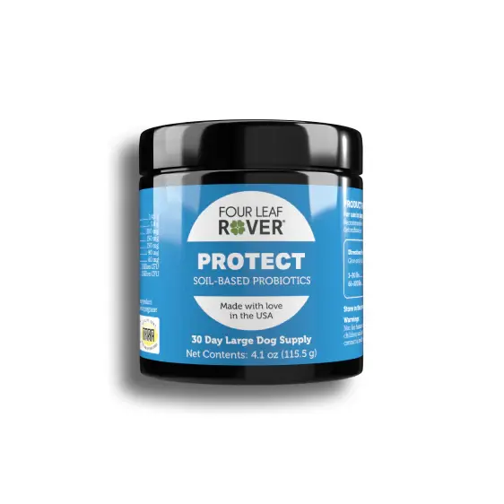 Dog supplement jar labeled Protect by Four Leaf Rover, supports gut health and immune function.