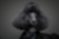 AdobeStock_182139805.jpeg
