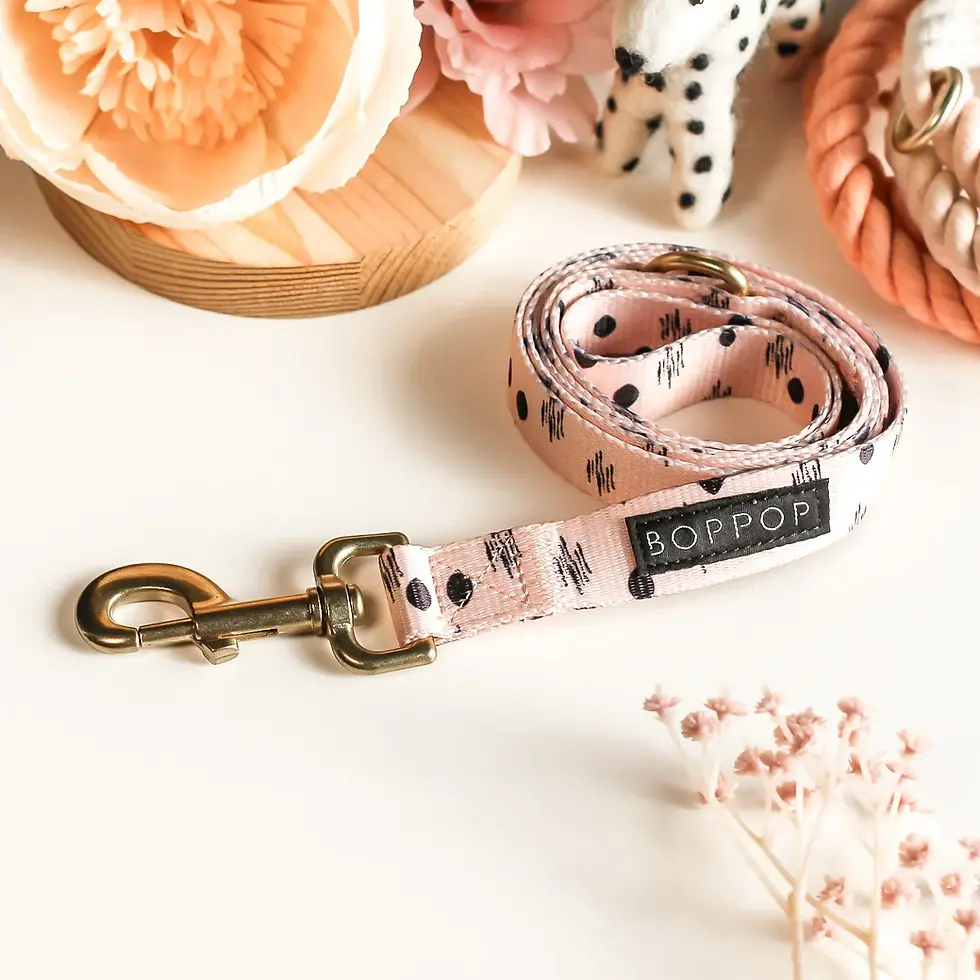 Thumbnail: Bop Pop Pets Soffi Dog Leash