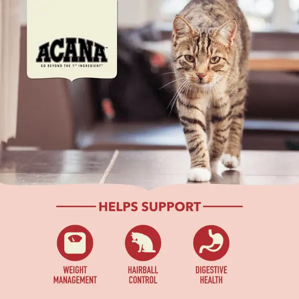 Thumbnail: ACANA™ Indoor Entrée Recipe for indoor cats with 65% animal ingredients, including free-run chicken, turkey, & whole herring