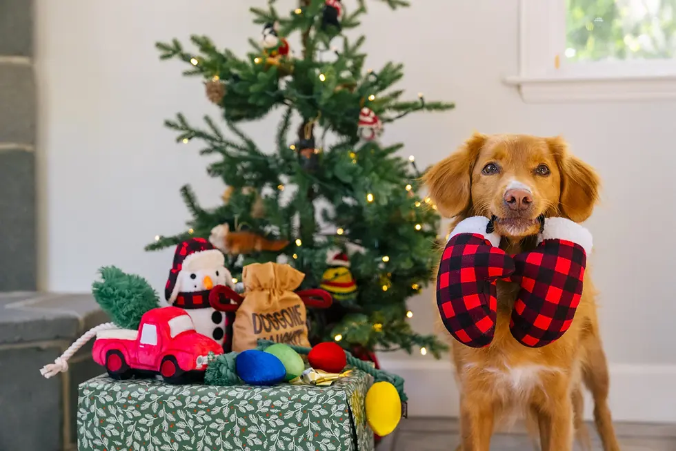 Thumbnail: Pet P.L.A.Y. Paw Warmers plush toy in a festive design, ideal for keeping pets entertained and cozy during the holidays.
