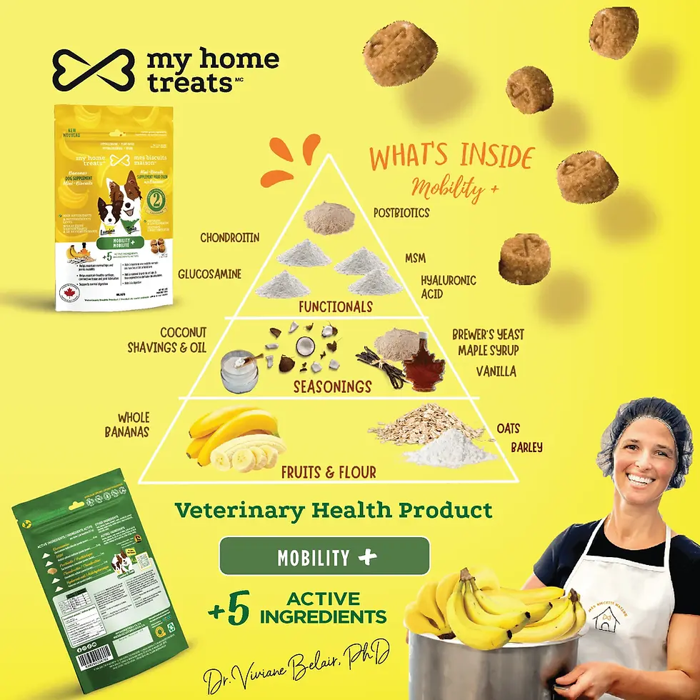 Thumbnail: Healthy, Health Canada-approved dog treats made with premium ingredients for a happy and safe snack.