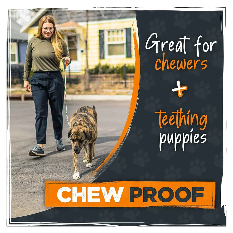 Thumbnail: Mighty Paw Chew-Proof Chain Leash