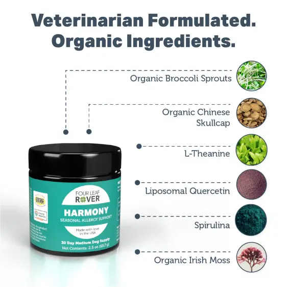 Four Leaf Rover Harmony powder, supports healthy histamine response and immune balance in dogs.