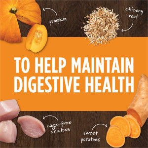 Thumbnail: Instinct Raw Boost Freeze-Dried Mixers - Gut Health for dogs, nutrient-rich meal topper with probiotics