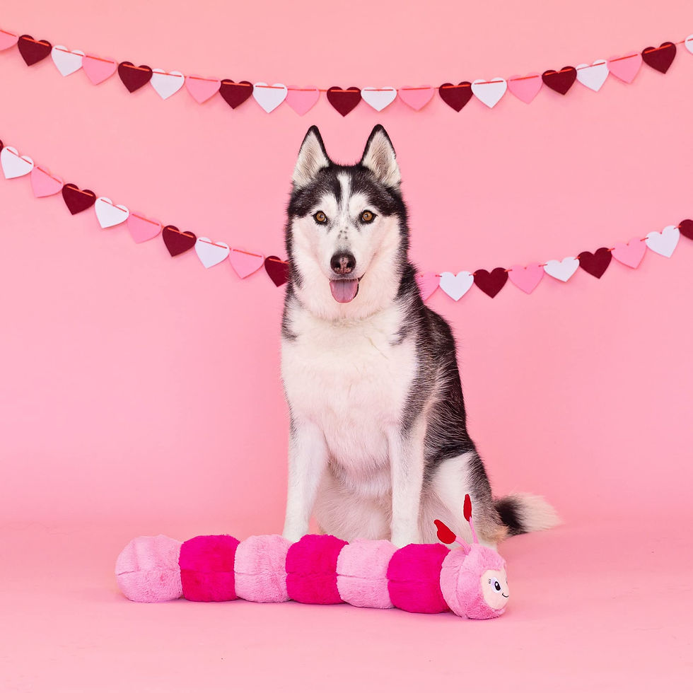 Thumbnail: Fringe Love Bug caterpillar-shaped plush dog toy with soft fabric and squeakers, perfect for Valentine’s Day fun.