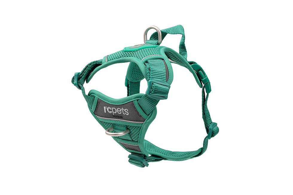 RC Pets Momentum Harness, a durable and adjustable harness designed for comfort and control during dog walks and activities.