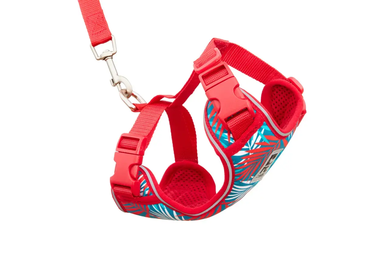RC Pets Adventure Kitty Harness - Maldives
