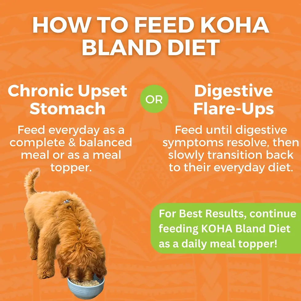 Thumbnail: Koha Limited Ingredient Bland Diet Chicken & White Rice Recipe for Dogs - gentle meal for dogs with sensitive stomachs