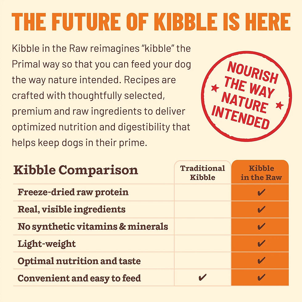 Thumbnail: Primal Kibble in the Raw Beef Recipe
